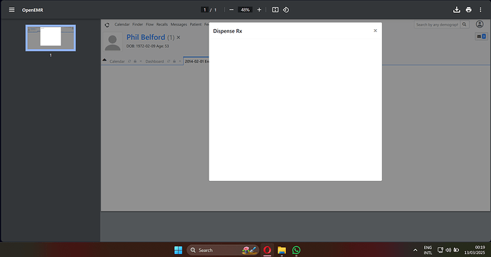 Screenshot 2025-03-13 001931