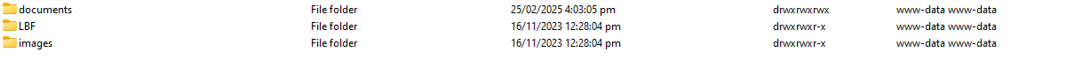 Screenshot 2025-02-26 003704-1